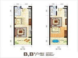 B-B1户型 1室1厅1卫1厨 59㎡