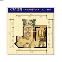 C3户型图 1室2厅1卫1厨  50㎡