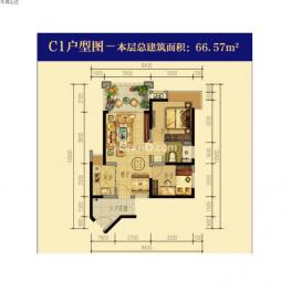 C1户型图 2室2厅1卫  66㎡