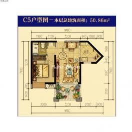 C5户型图 1室2厅1卫1厨 50㎡
