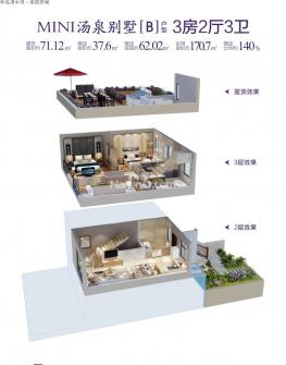 别墅B户型图 3室2厅3卫1厨 71㎡