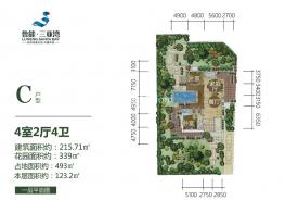 高2区别墅C户型215㎡4房2厅4卫一层