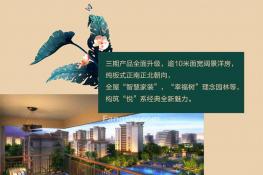 效果图2