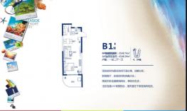 5号楼B1次 1室2厅1卫