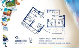 5号楼C1 3室2厅1卫
