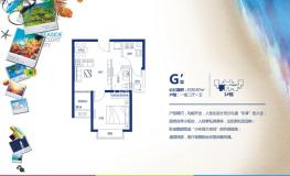 G1户 1室2厅1卫  面积约50
