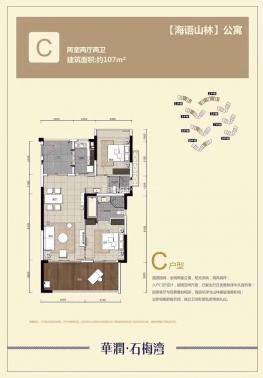 公寓C户型107㎡两房两厅