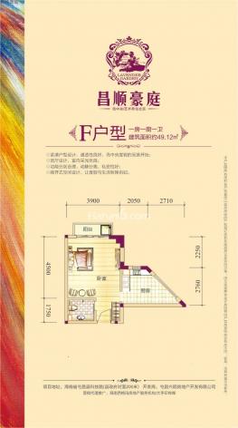 F户型图 1室1卫1厨 49㎡