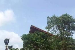 鲁能海蓝园筑实景图