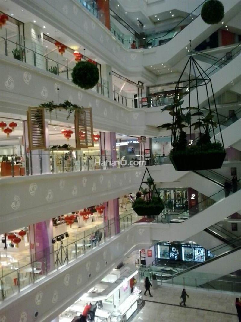 Զ㳡ʵ