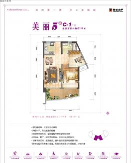 C-1户型 1室2厅1卫1厨 80㎡