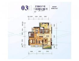 3室2厅1厨2卫100平米