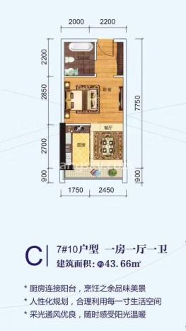 1室1厅0厨1卫43.66平米