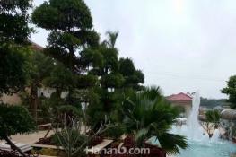 万福家园实景图