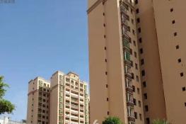 万福家园实景图