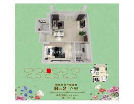 B-2户型图1室1厅1卫1厨62